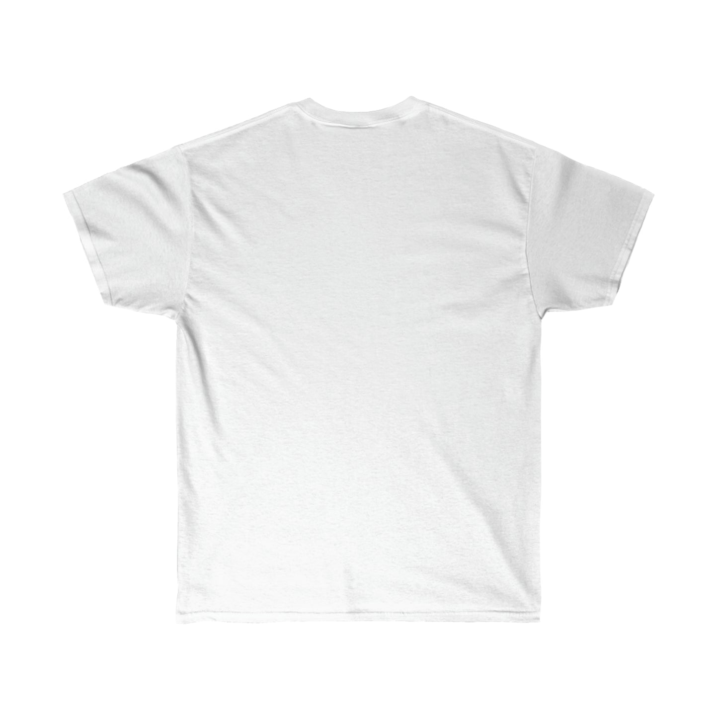 T-SHIRT (JESUS DID IT)