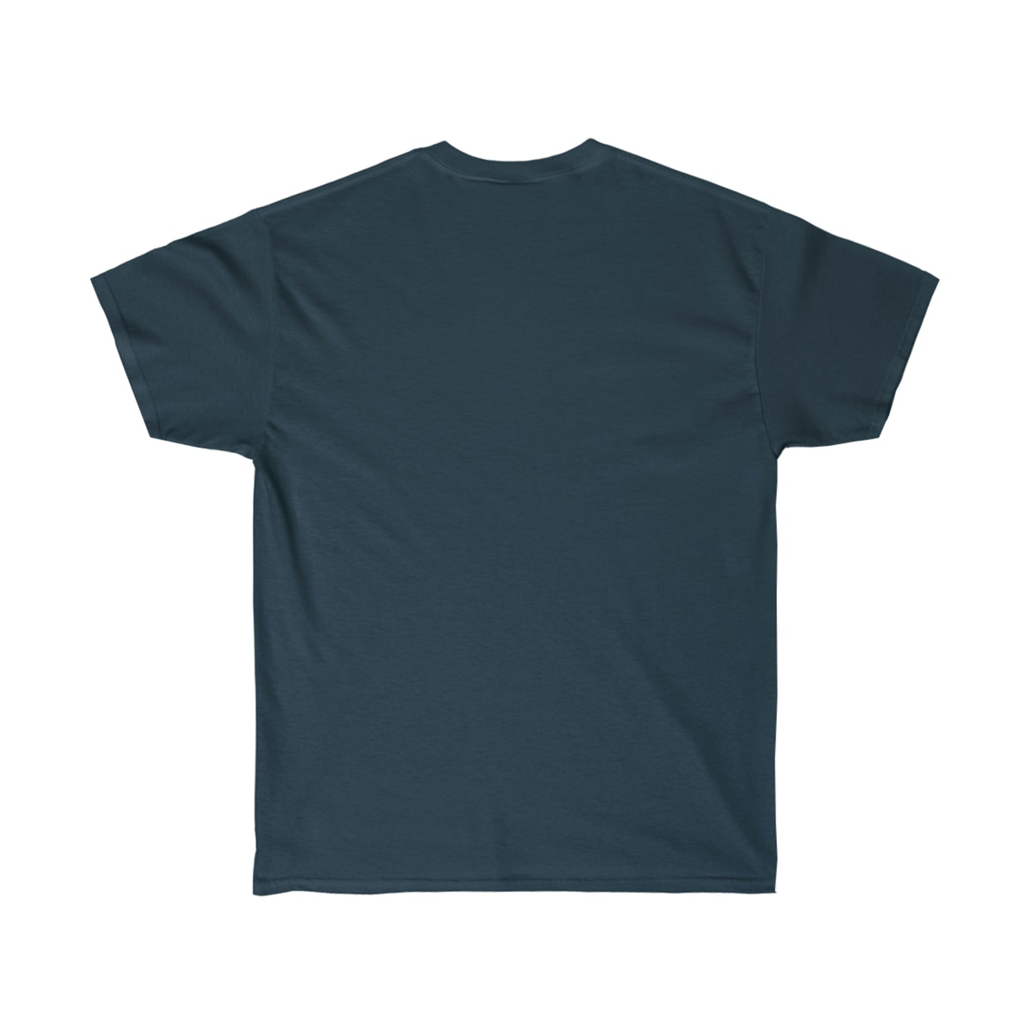 T-SHIRT- (Isaiah 41:10)