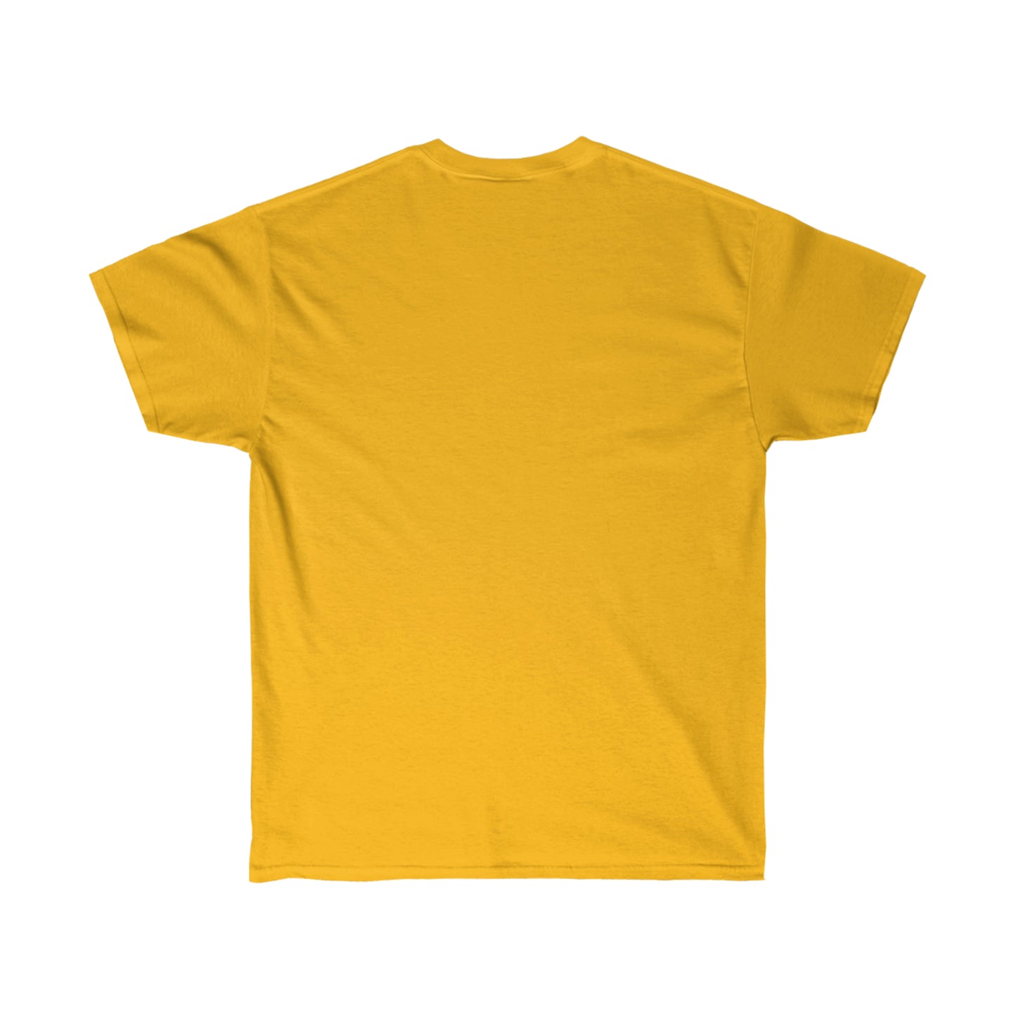 T-SHIRT- (Isaiah 41:10)